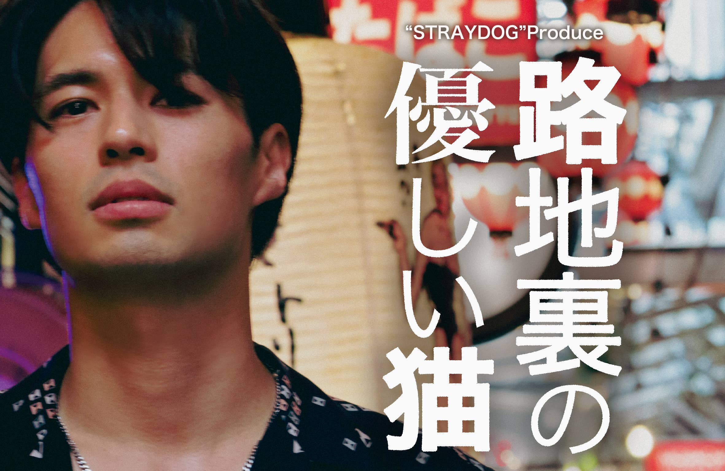 “STRAYDOG”Produce 『路地裏の優しい猫』