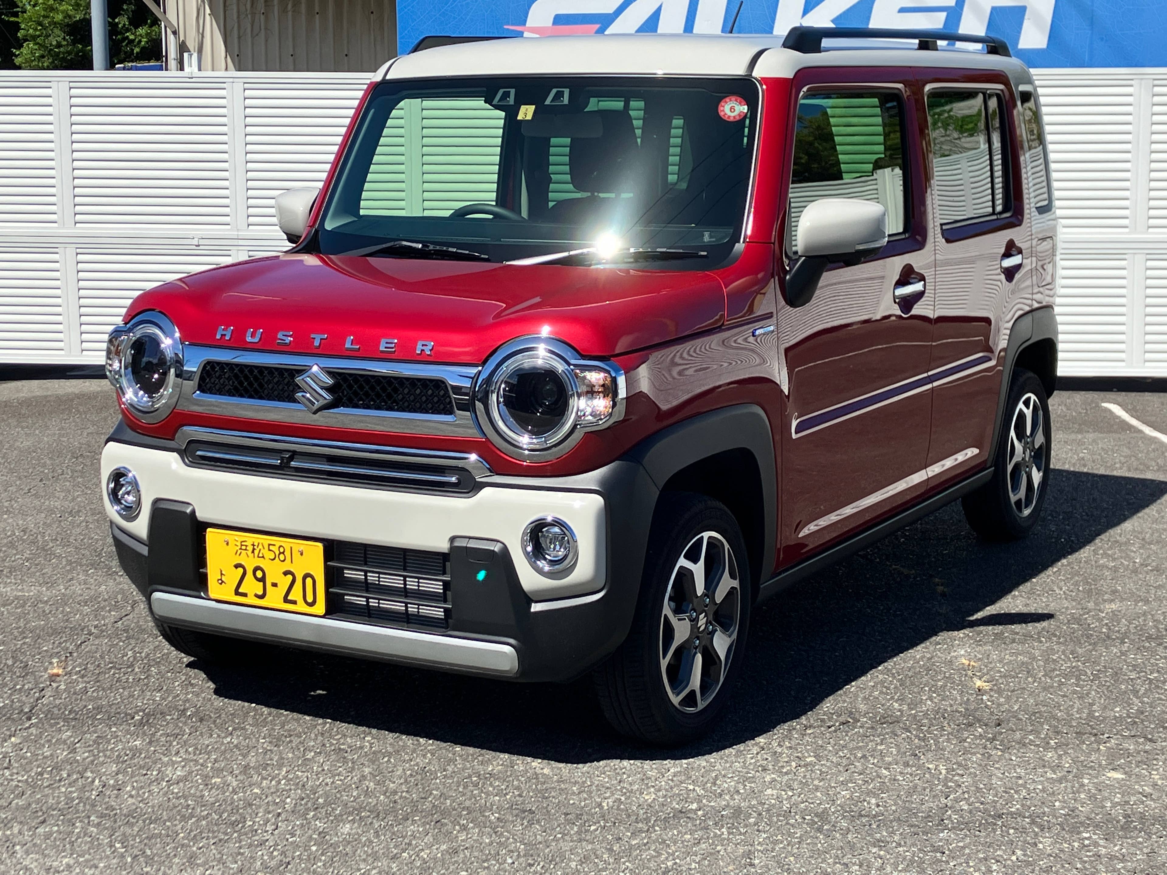 中古車情報