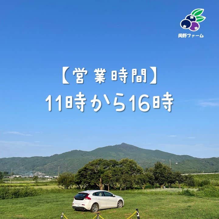 営業時間のお知らせ（11時～16時に戻ります！）