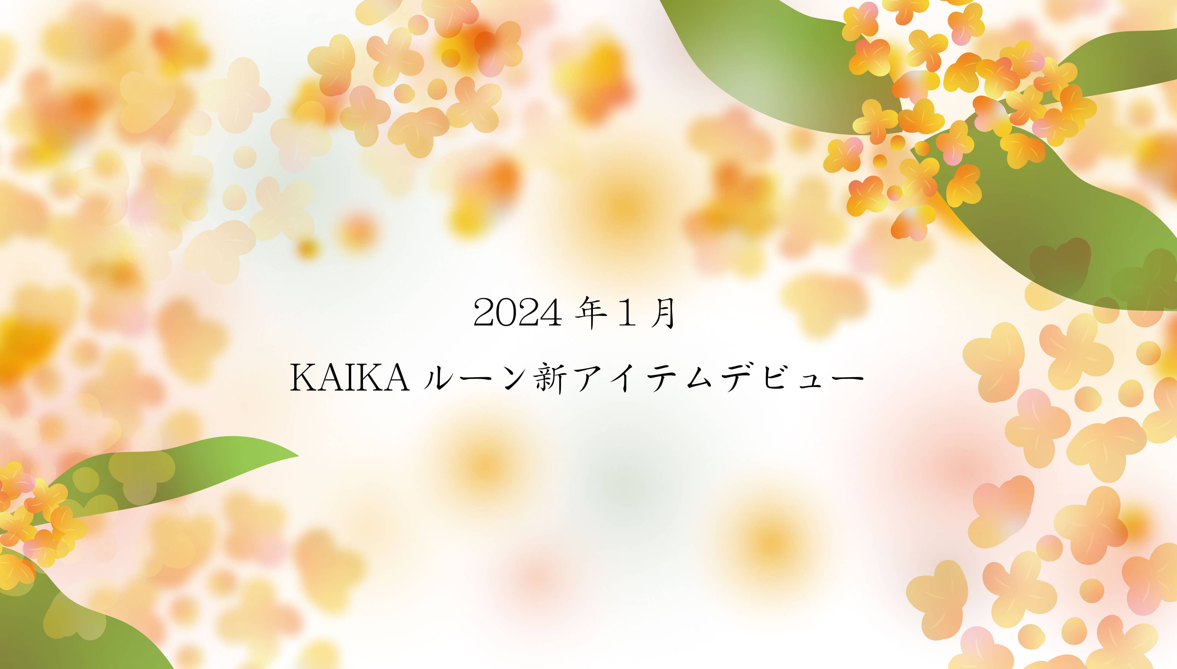 2024年1月KAIKAルーン新発動